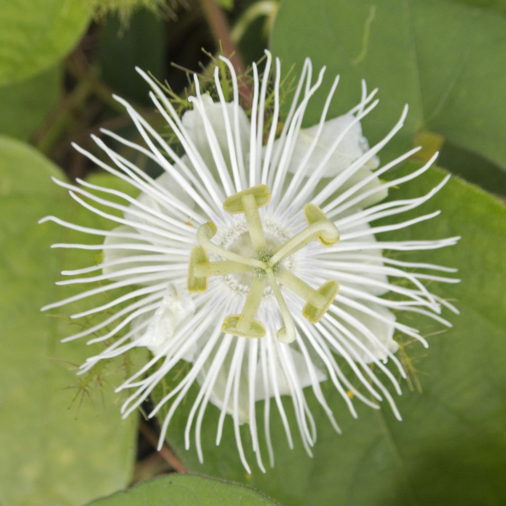 Фотография автора Geoffrey D. Summers