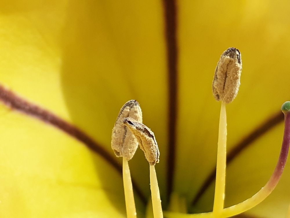 Фотография автора Geoffrey D. Summers