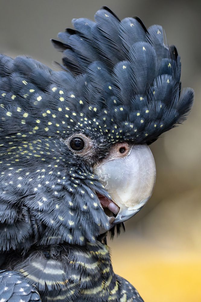 Photograph by Alexander Babych