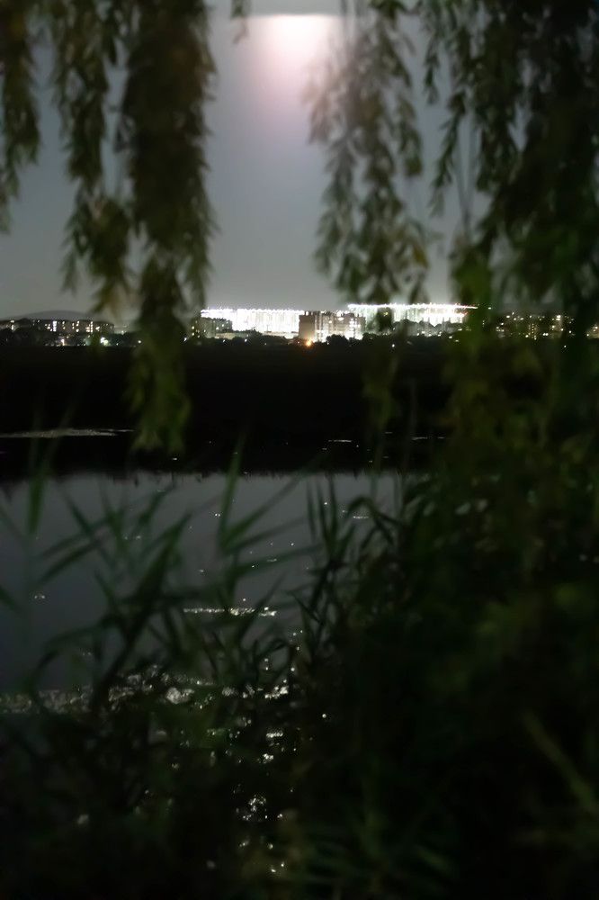 Photograph by Юлия Синицына