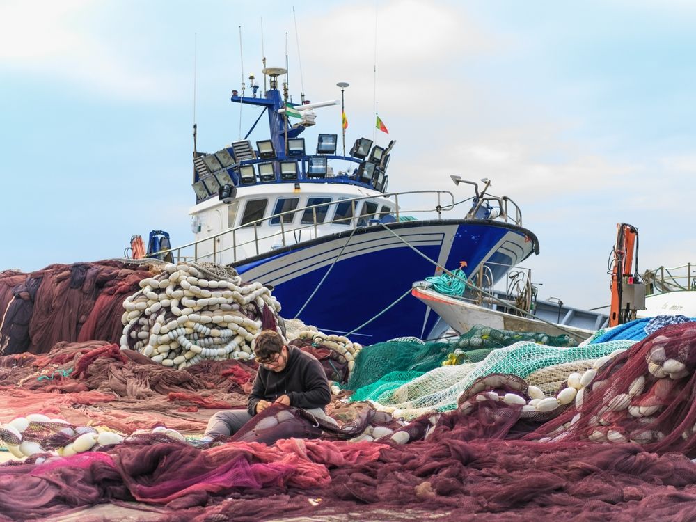 Photograph by Francisco José López Fernández