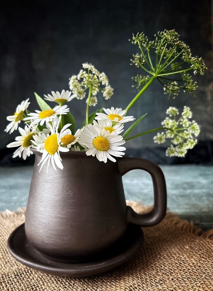 Photograph by Светлана