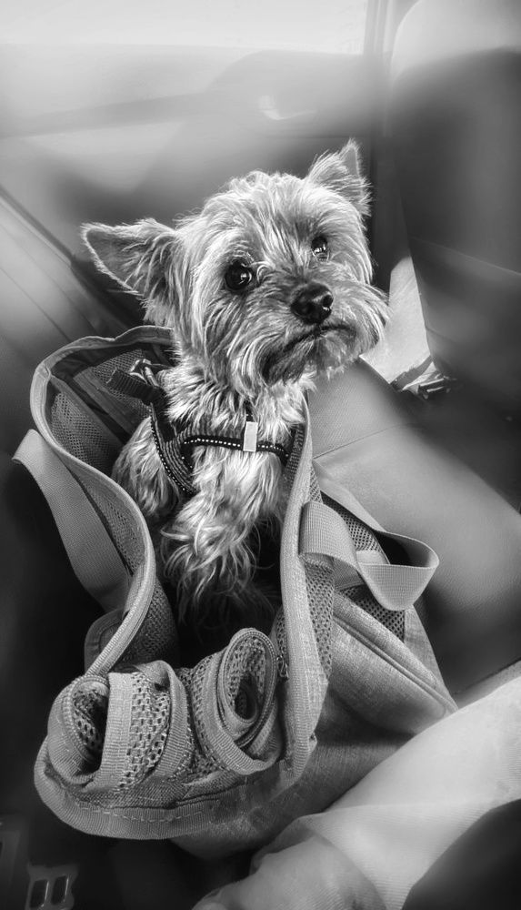 Photograph by Erika Checherina