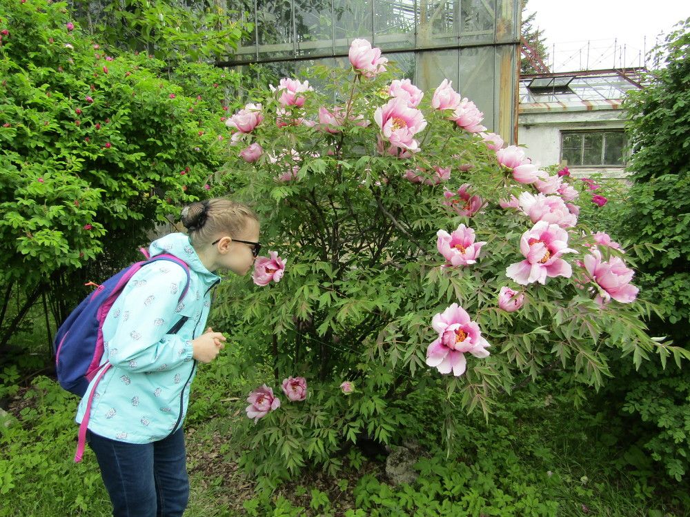 Photograph by Татьяна Смирнова