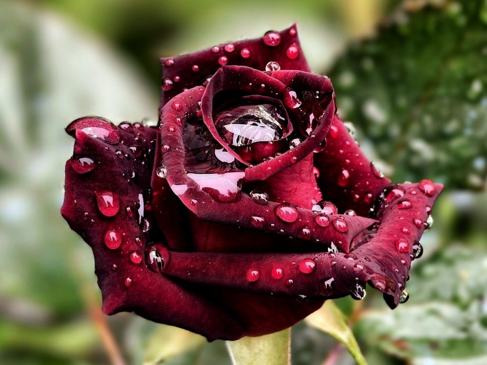 Фотография автора Stanislav Ermolin