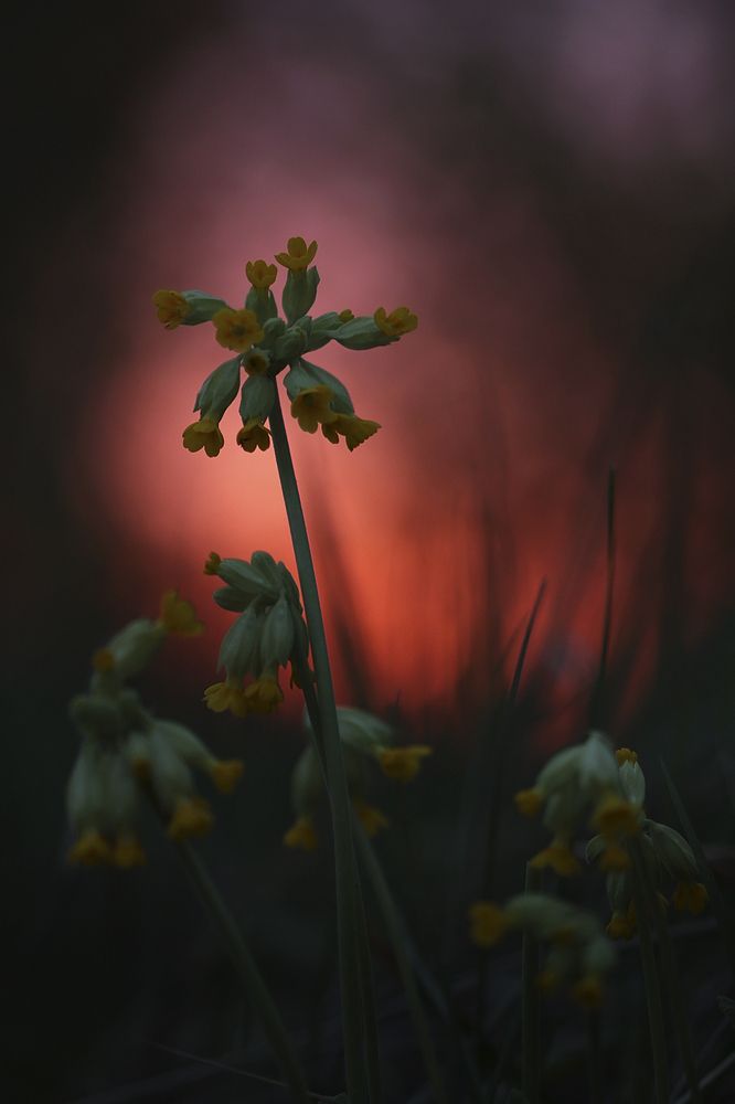 Photograph by Каранов Николай