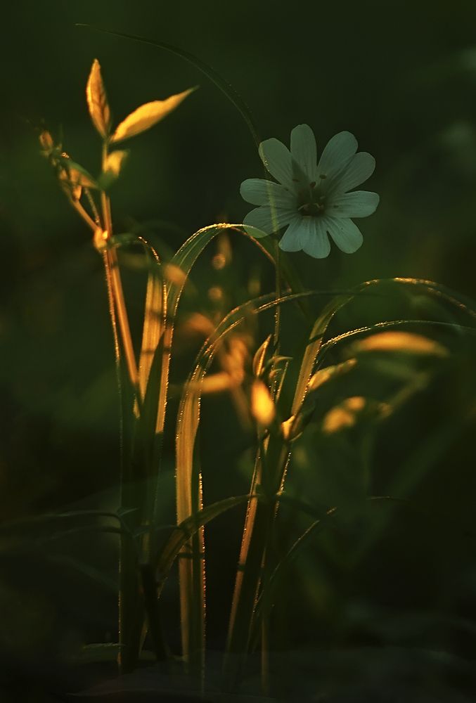 Photograph by Каранов Николай