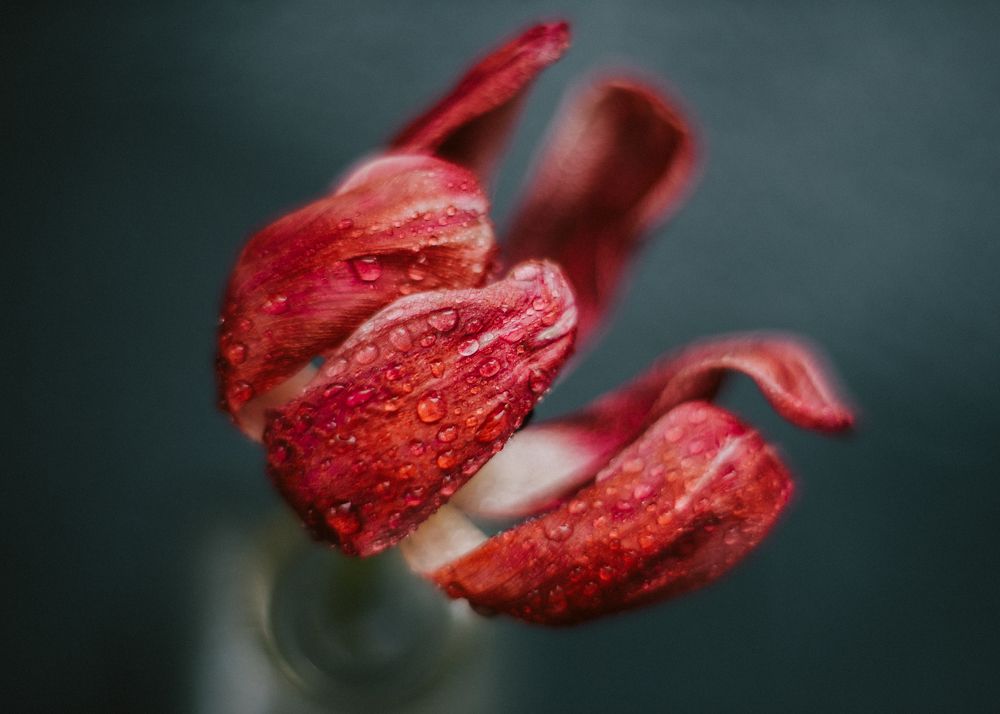 Photograph by Сергеева Марина