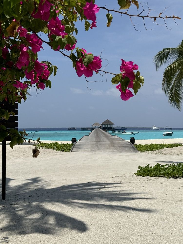 Фотография автора Anastasia