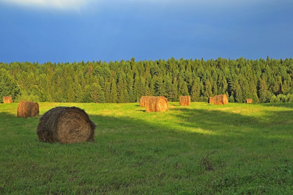 Фотография автора Юрий Кетель