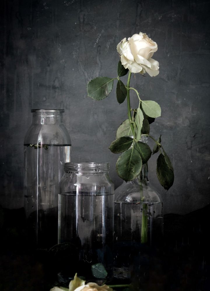 Photograph by Светлана