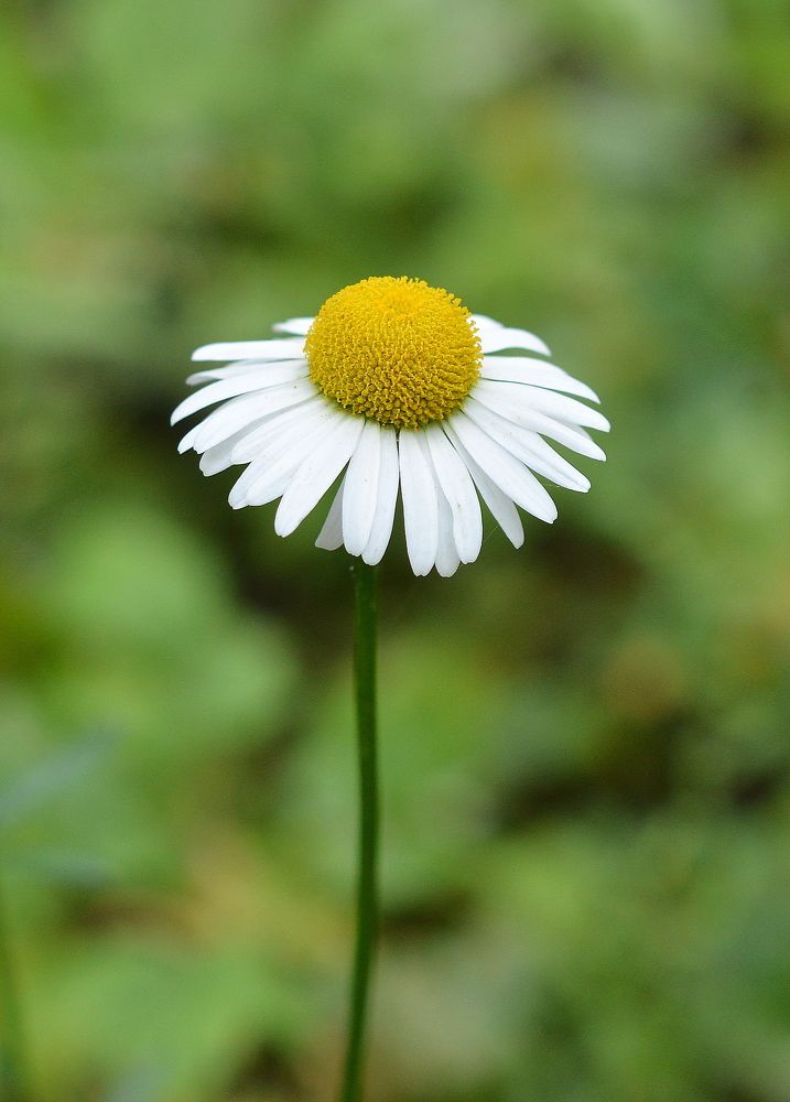 Photograph by Алексей Volg