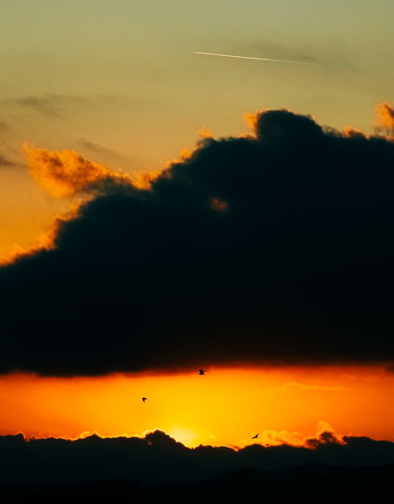 Photograph by Alonzo Contreras