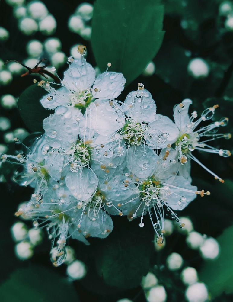 Photograph by Татьяна Гулакова