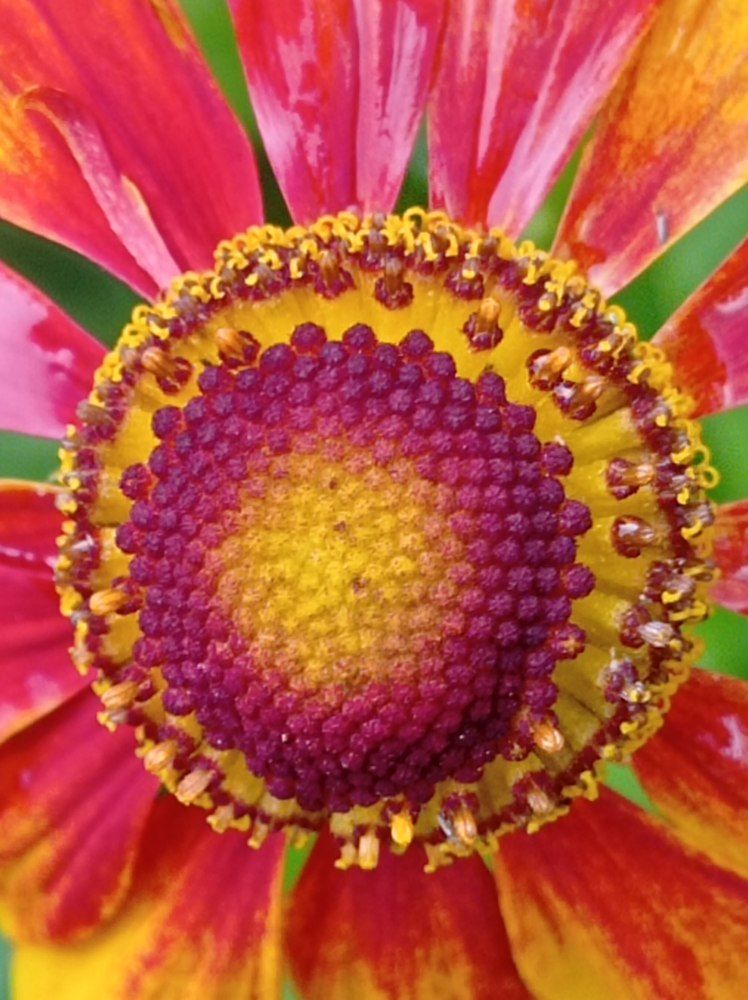 Photograph by Ирина Орлова