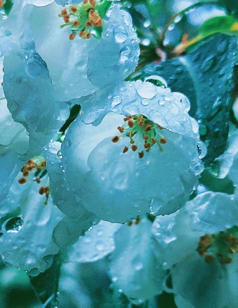 Photograph by Татьяна Гулакова