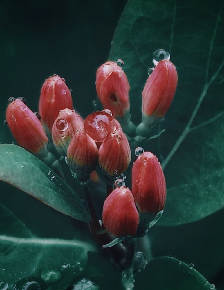 Photograph by Татьяна Гулакова