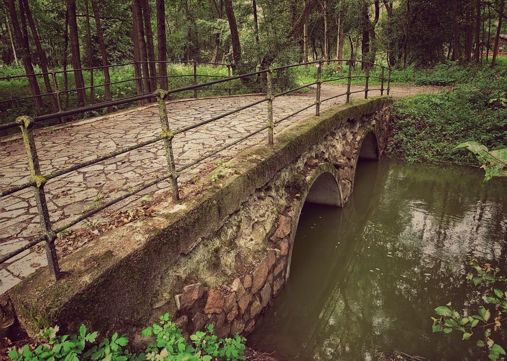 Photograph by Надежда Смирнова