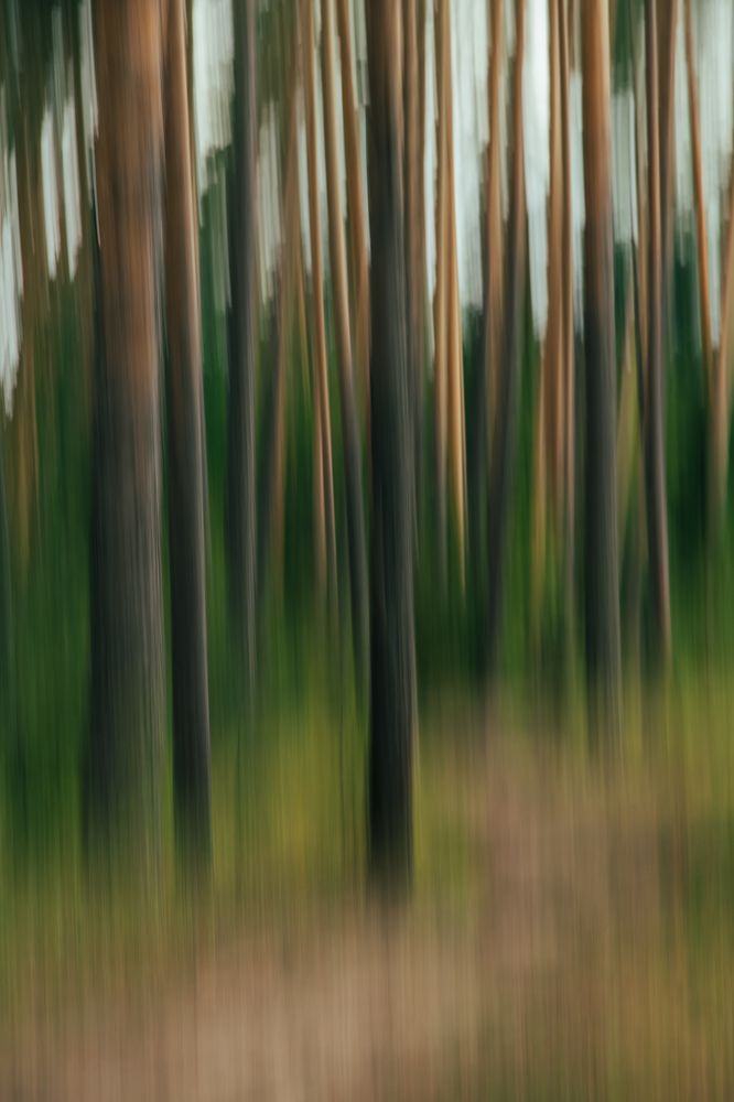 Photograph by Сагдиева Эльвира