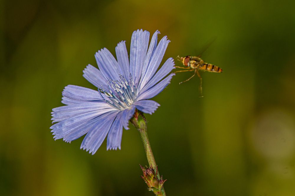 Photograph by Виталий Маслов