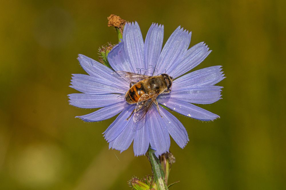 Photograph by Виталий Маслов
