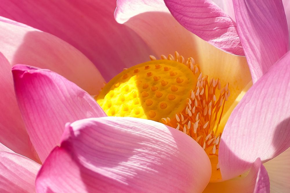 Photograph by Игорь Ковалёв