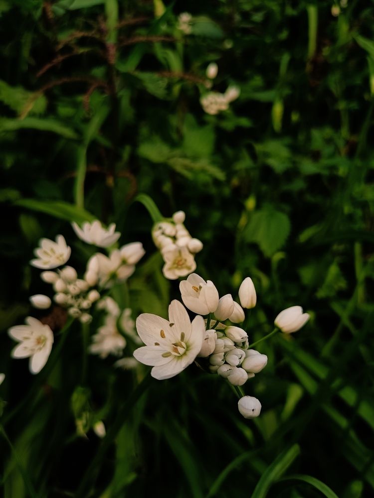 Photograph by Iryna Shyshkina