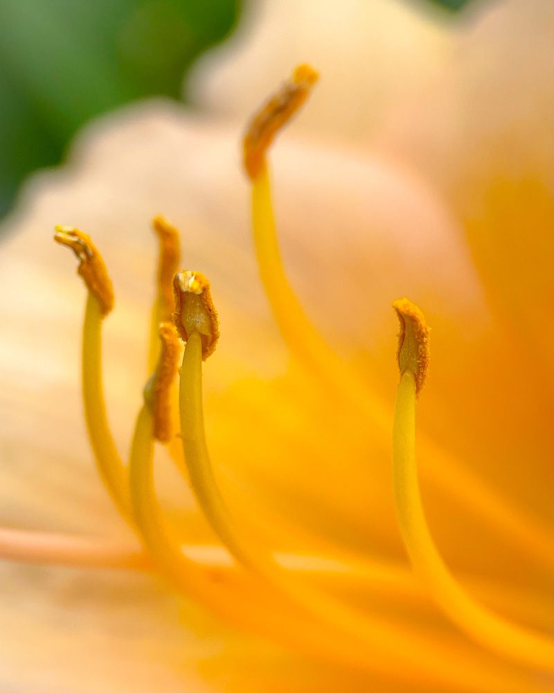 Photograph by Ольга Дорошенко