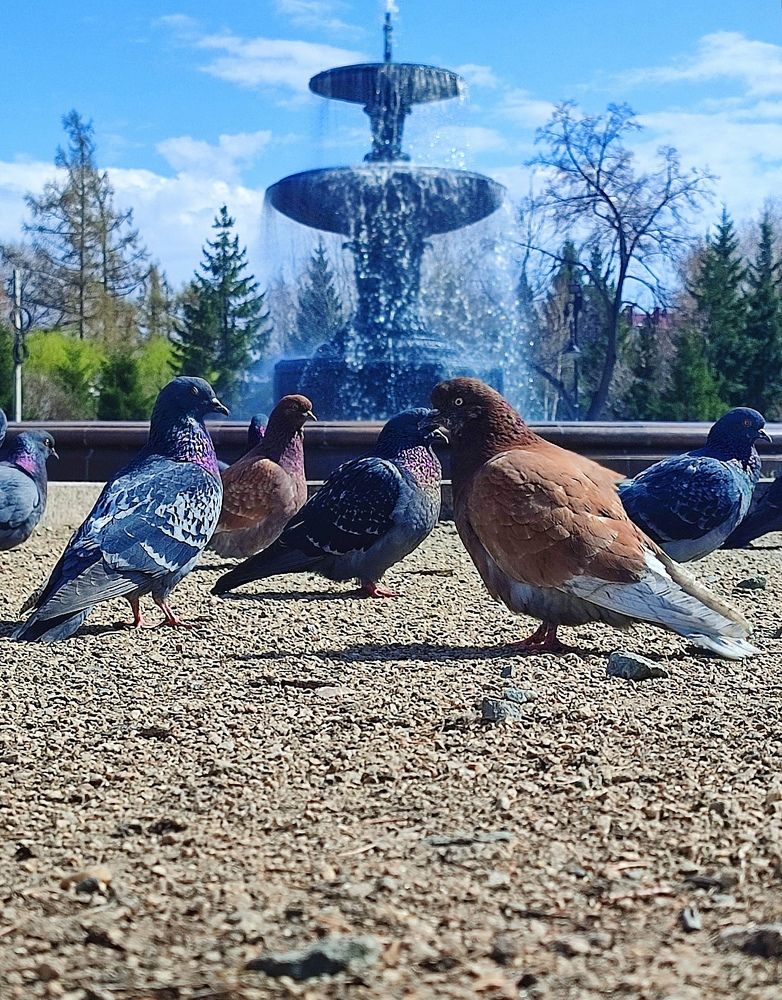 Photograph by Арина