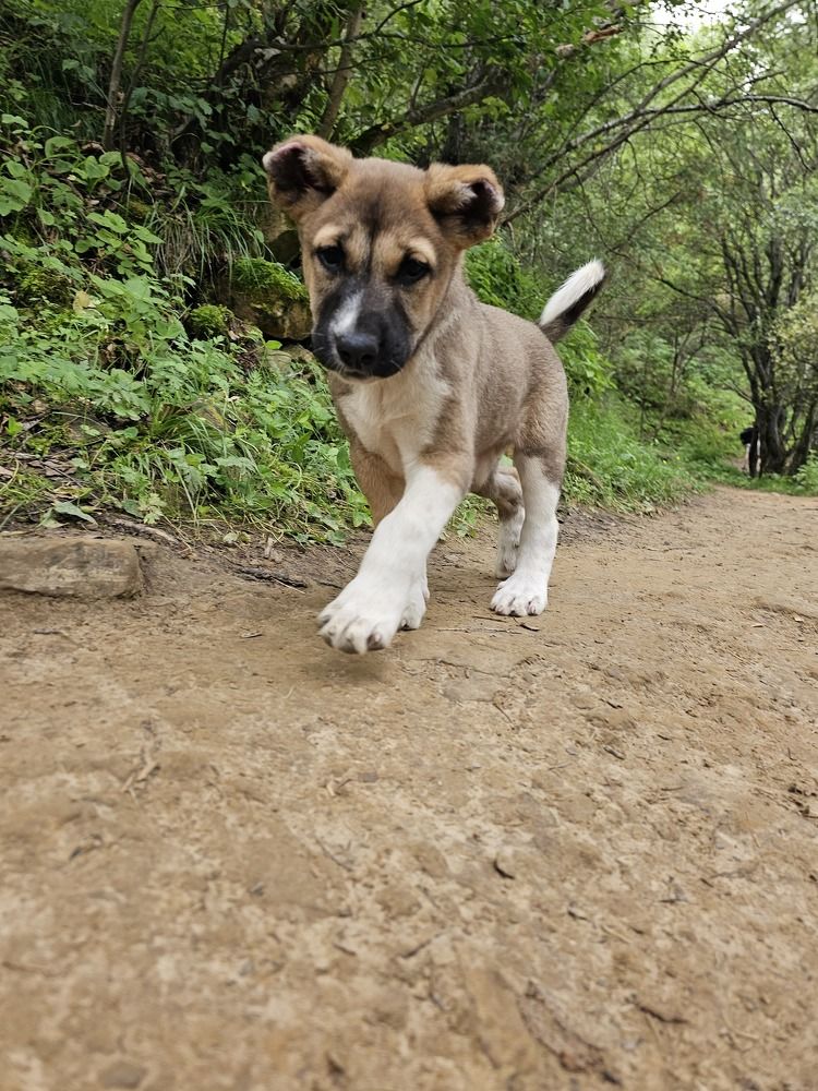 Photograph by Наталья Каплина