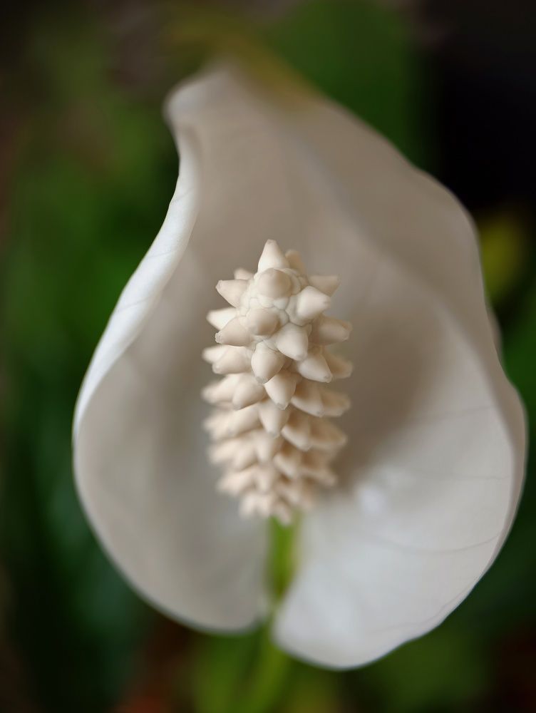 Фотография автора Ольга Кунакова