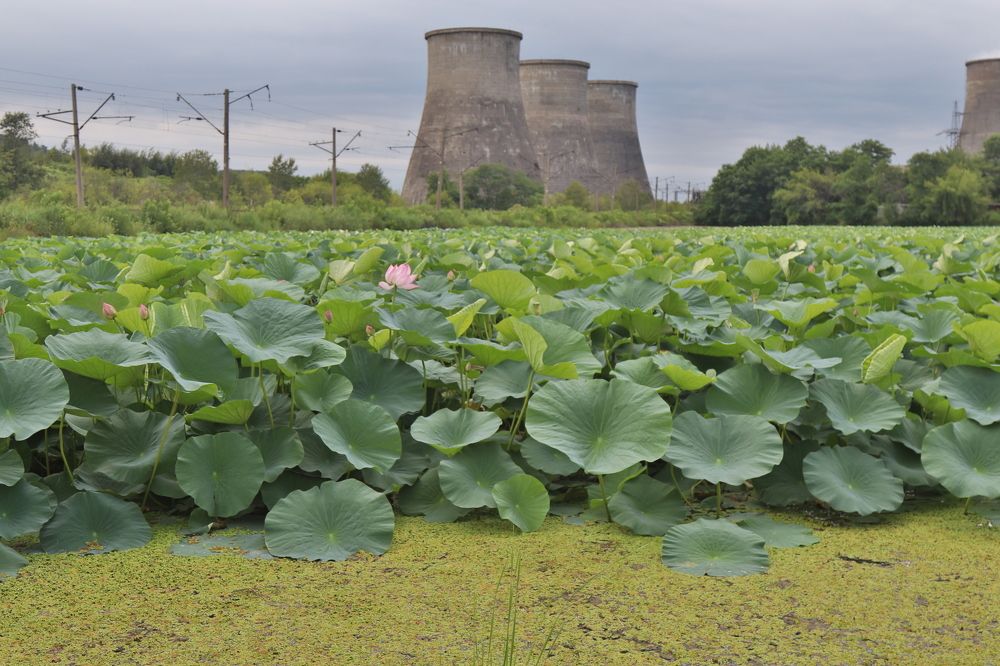 Photograph by Сергей Выржиковский