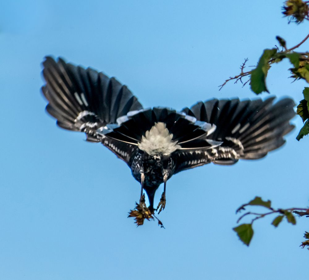 Photograph by Margarita