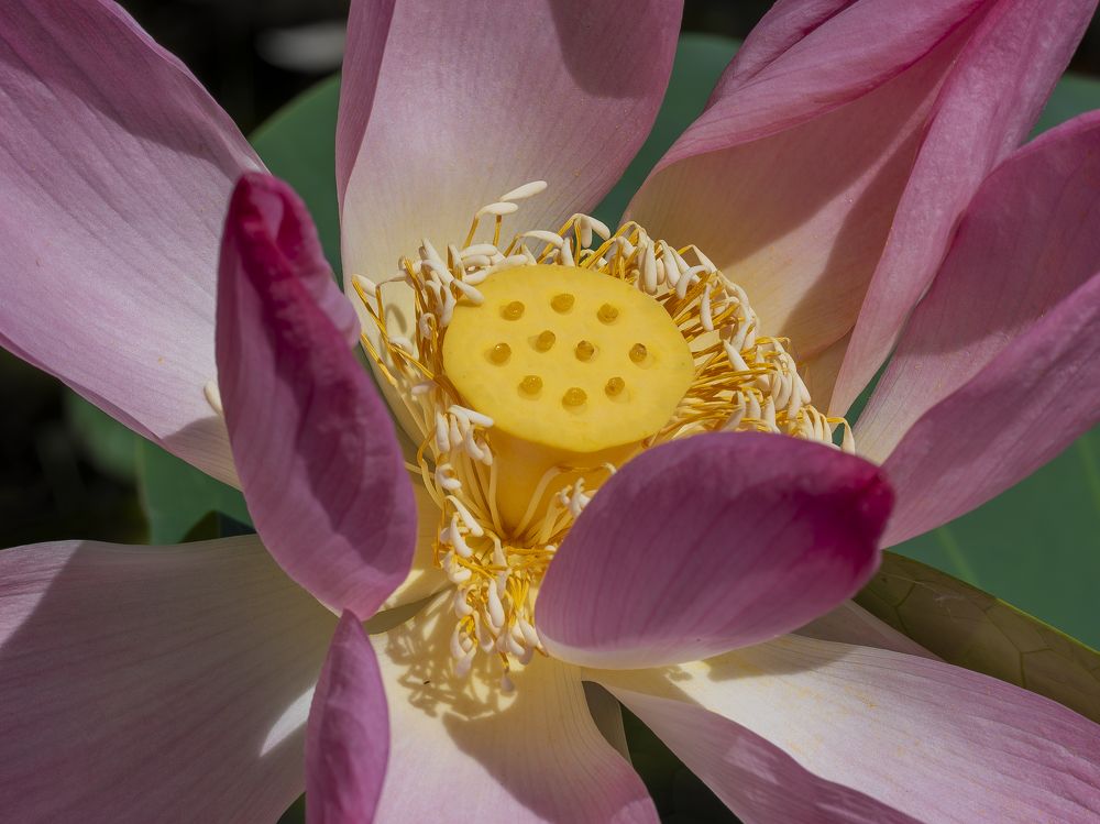 Фотография автора Дмитрий Кетов