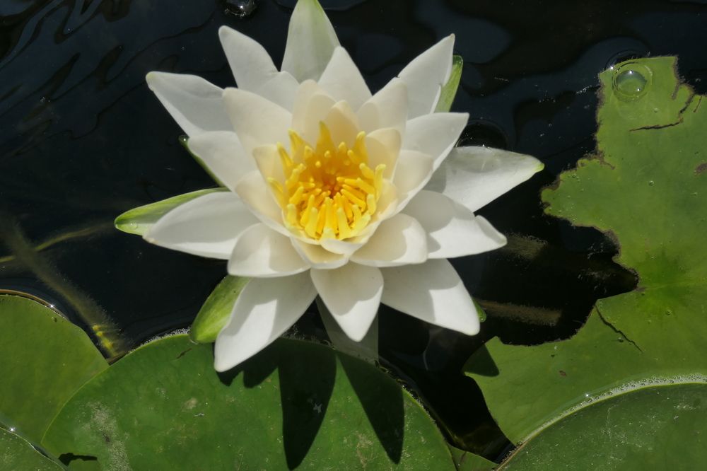 Photograph by Всеволод Маслов