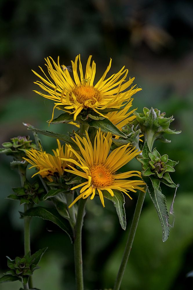 Photograph by Александр Шипиленко