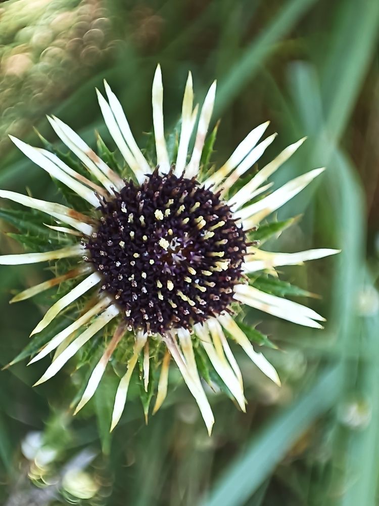 Photograph by Елена Пархоменко