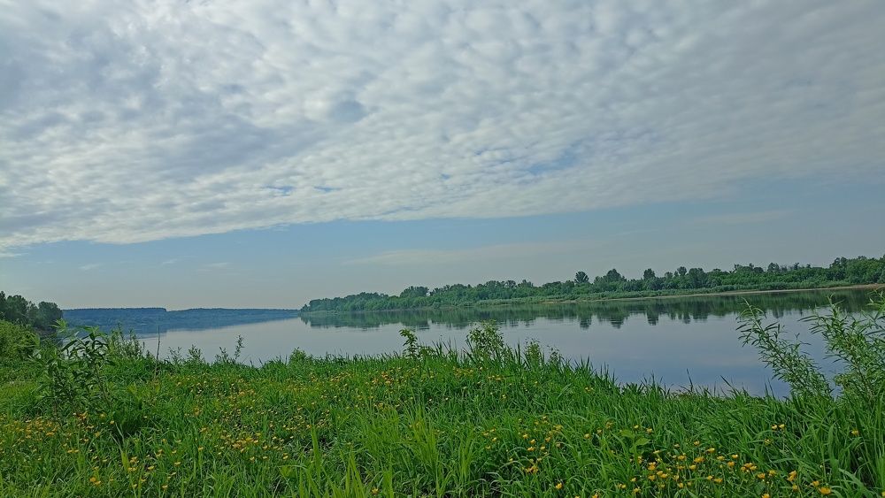 Фотография автора Людмила Базарова