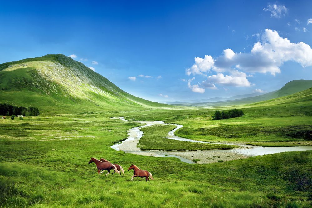 Photograph by Jennath Riyas Poozhithara