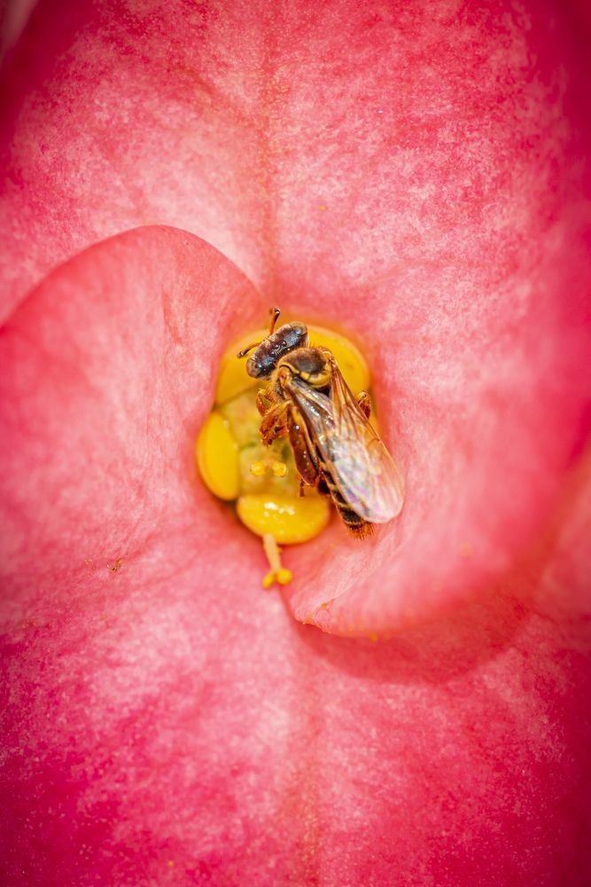 Photograph by Jorge Ivan Vasquez