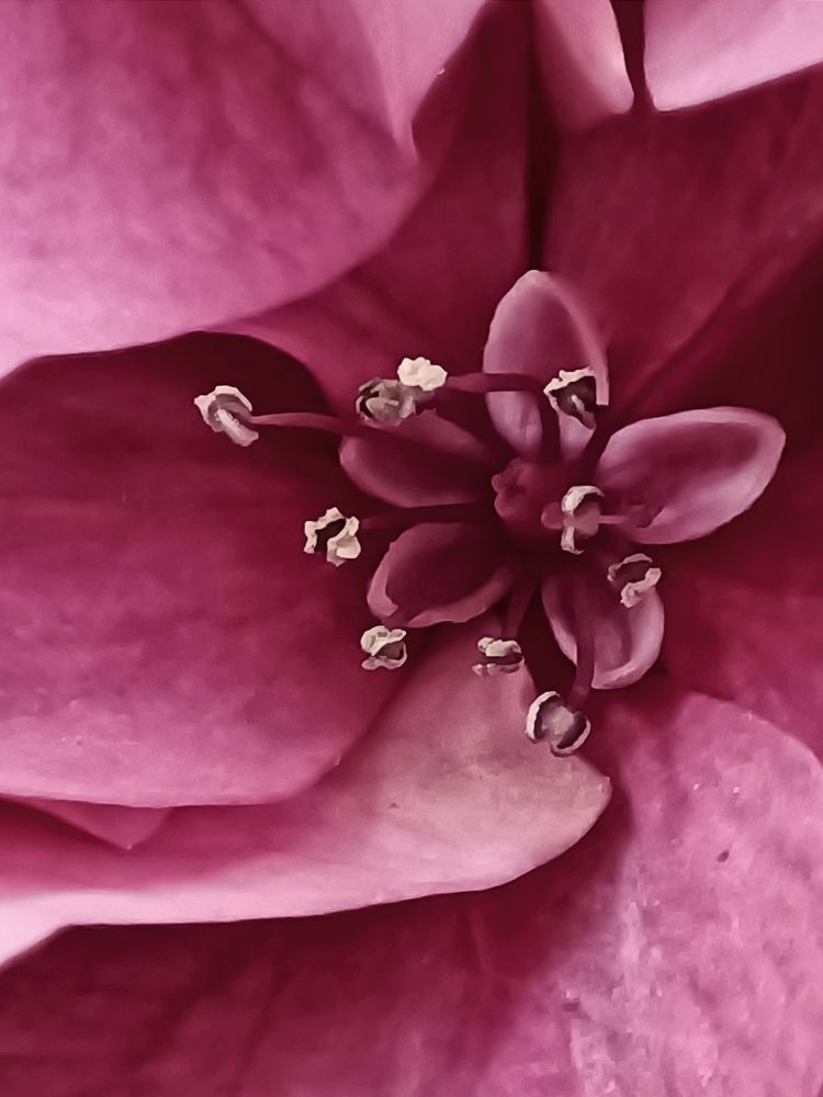 Photograph by Елена Пархоменко