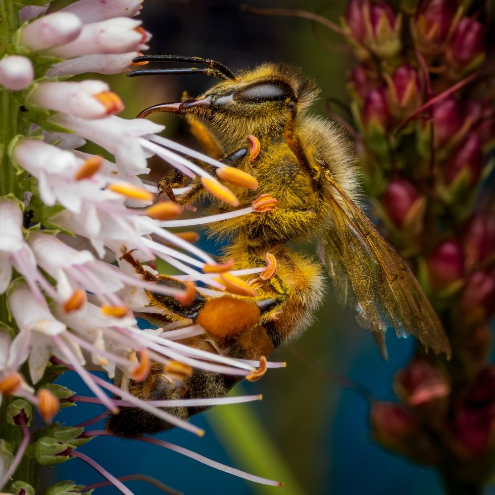 Photograph by Derek Moorse