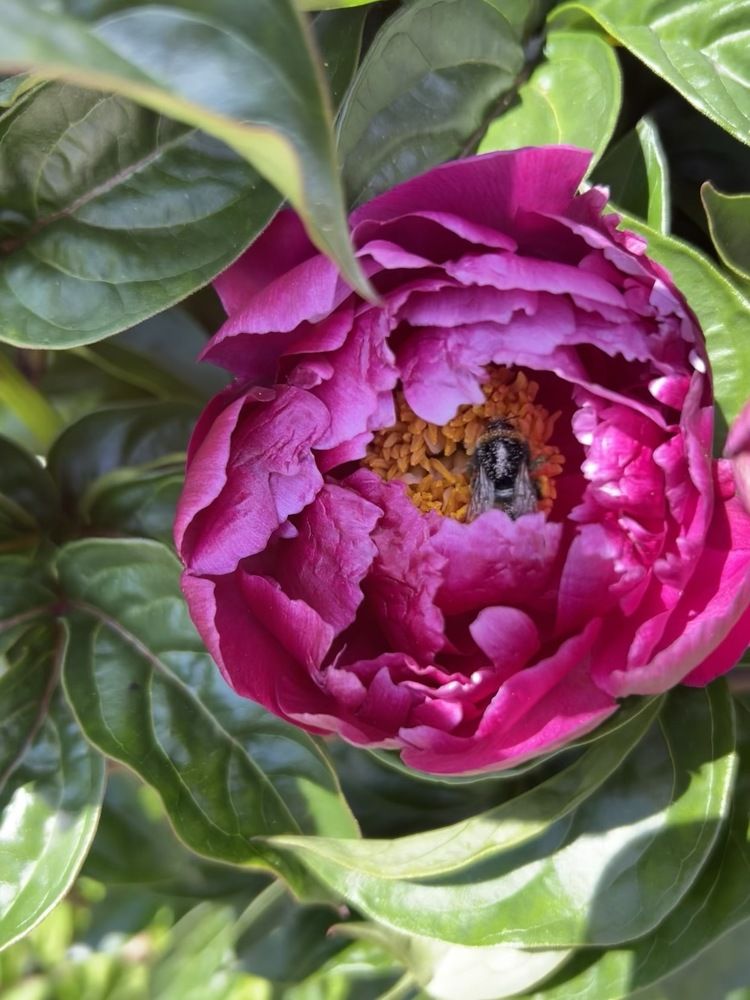 Photograph by Бабурина Анна