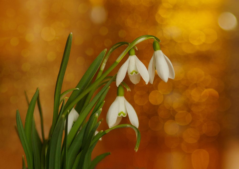 Photograph by Анна Селезнева