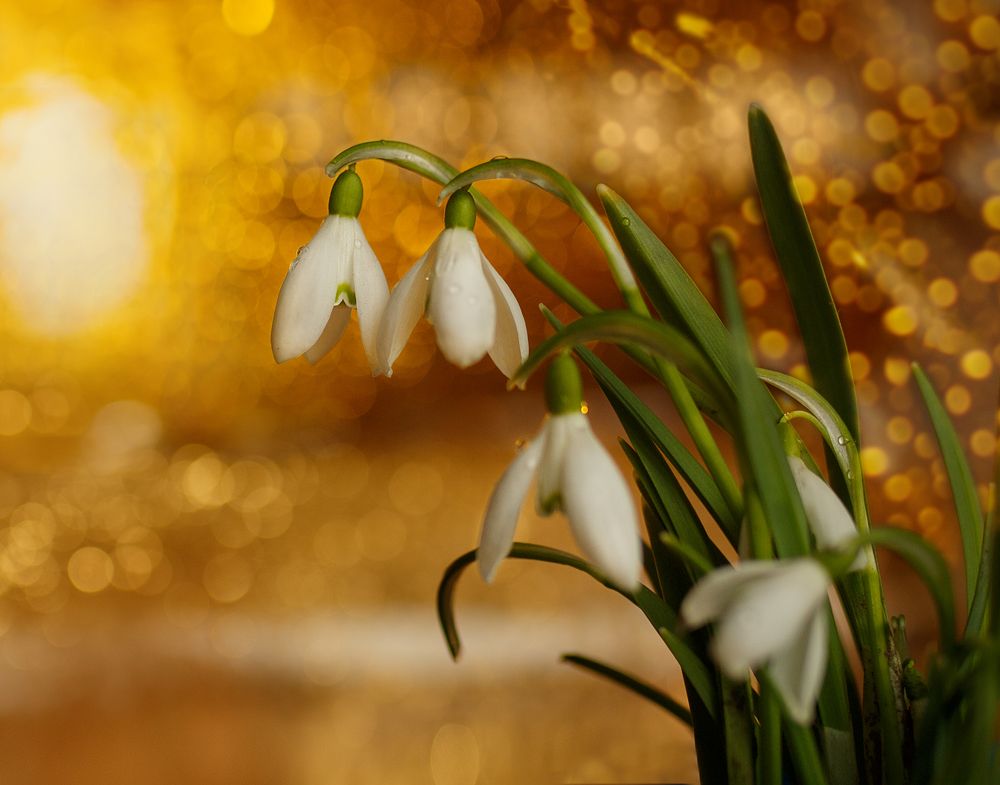 Photograph by Анна Селезнева