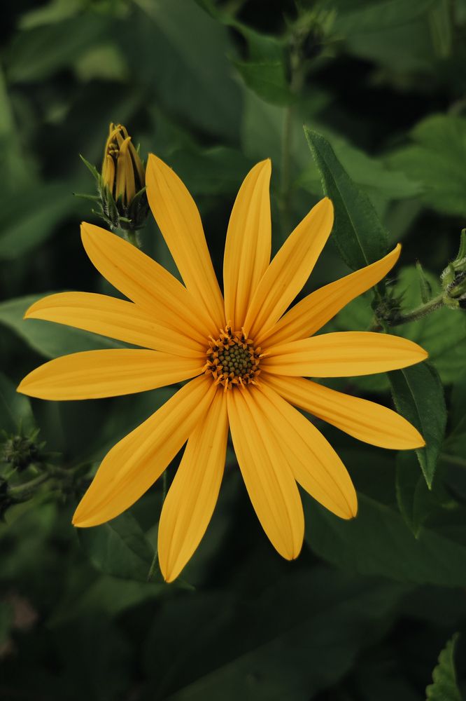 Photograph by Alexander Lonsdale