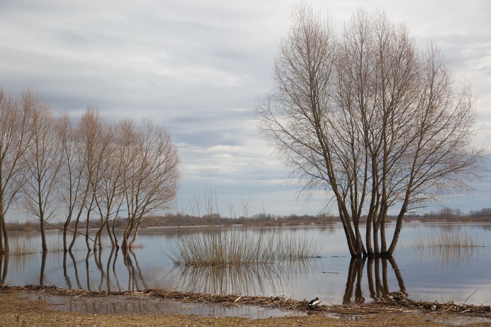 Photograph by Nadezhda Bakina