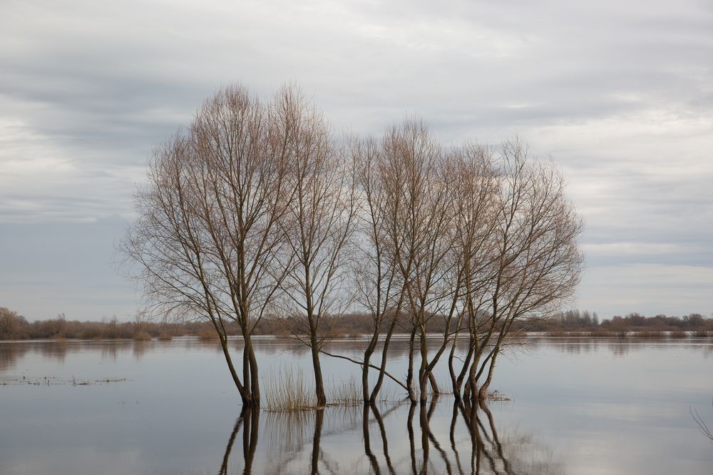 Photograph by Nadezhda Bakina