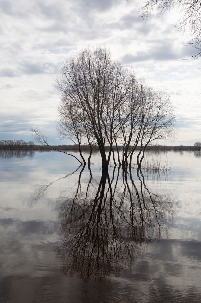 Photograph by Nadezhda Bakina