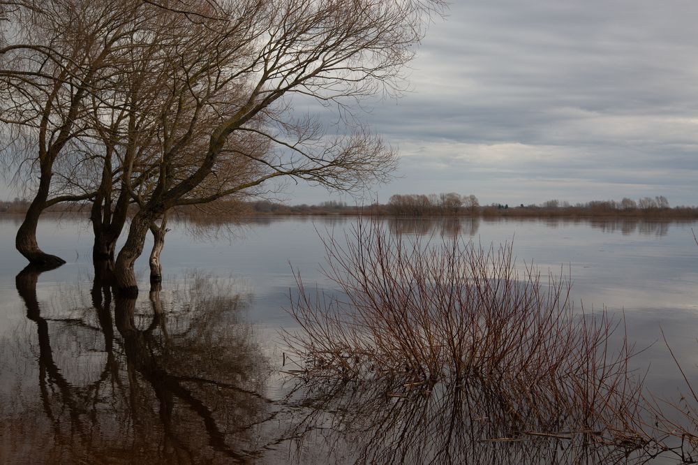 Photograph by Nadezhda Bakina